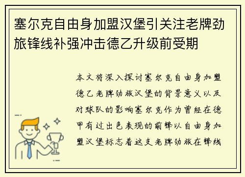 塞尔克自由身加盟汉堡引关注老牌劲旅锋线补强冲击德乙升级前受期 塞尔克自由身加盟汉堡引关注老牌劲旅锋线补强冲击德乙升级前受期